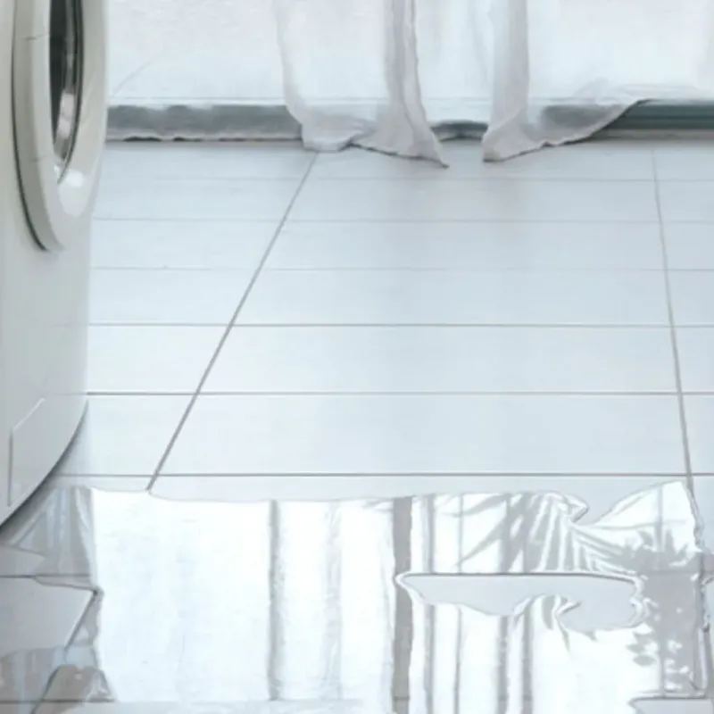Appliance Leak Cleanup in Georgetown, CA