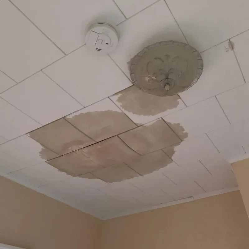 Ceiling Water Damage Repair in Georgetown, CA
